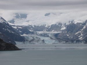 Here's a picture of a stunning shot of the "Johns Hopkins Glacier"
