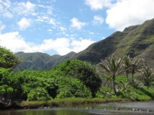 Scenes from Nancy & Shawn’s drive to the Halawa Valley in Molokai, Hawaii