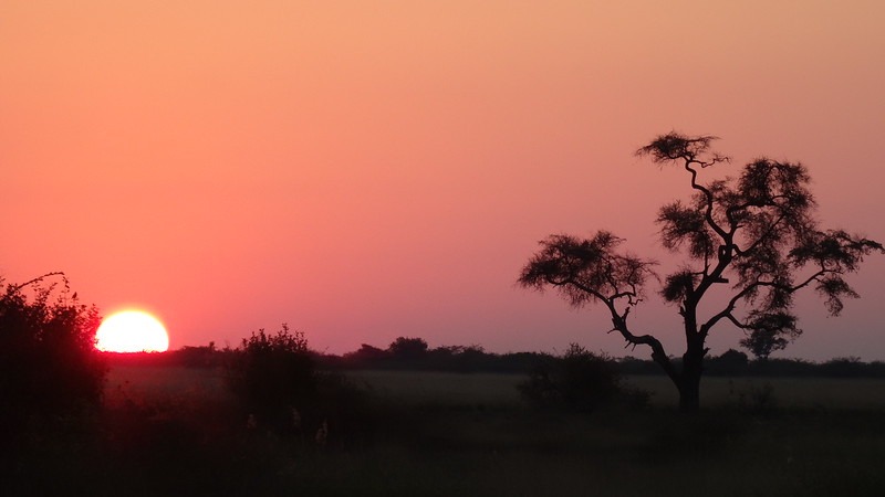 sunsets in South Africa wiht ama waterways river cruises review