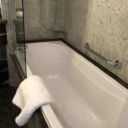 Review of our Penthouse suite bathtub Oceania Marina