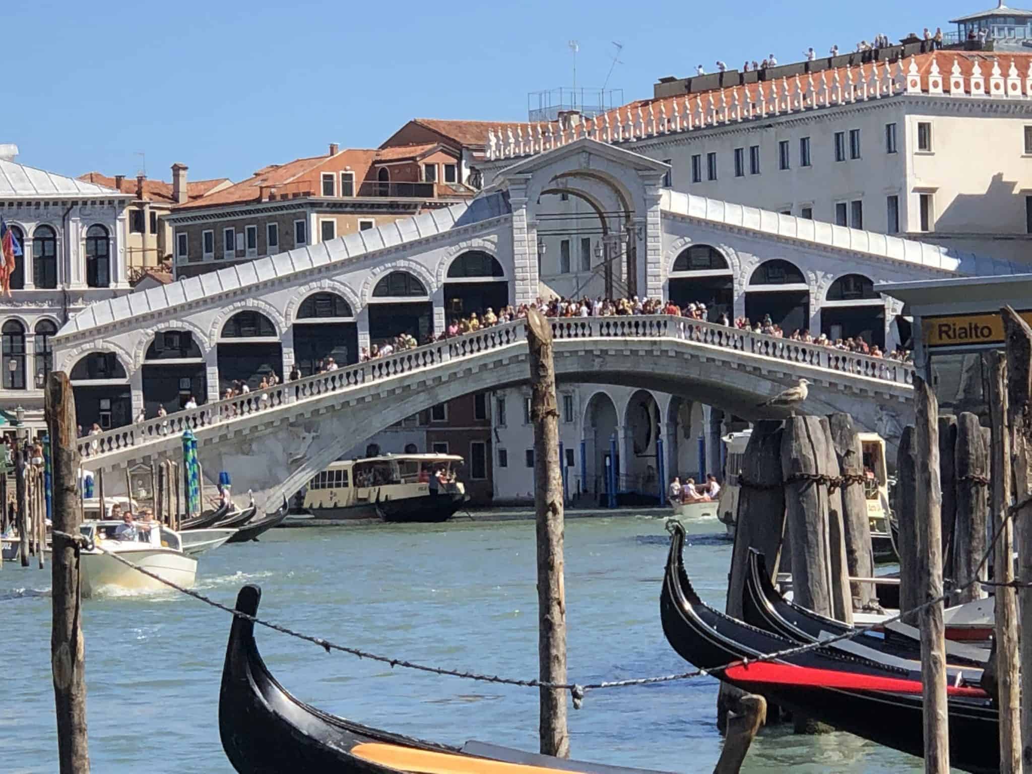 Realto bridge A Review of Our Venice and the Dalmatian